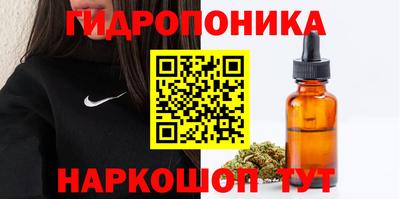 прущие грибы Камышлов
