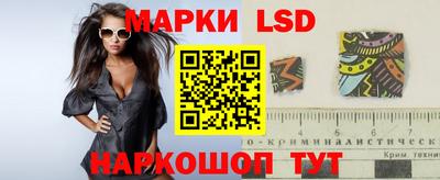 прущие грибы Камышлов