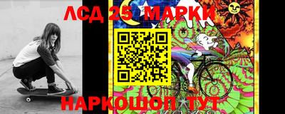 прущие грибы Камышлов