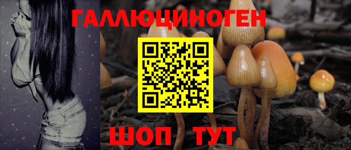 Уссурийск  закладки  Вход с VPN  Галлюциногенные грибы MAGIC MUSHROOMS 