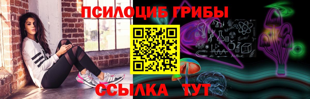 Галлюциногенные грибы Cubensis Уссурийск